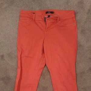 Women's plus size pants